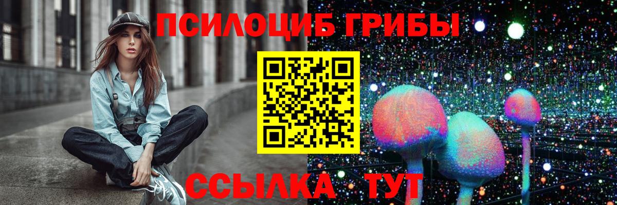 Галлюциногенные грибы Cubensis  Галлюциногенные грибы мицелий  Выборг  Вход с VPN 